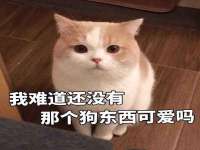 安徽省杰之盛信息科技有限公司