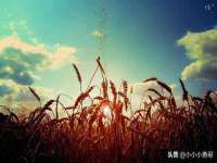 安徽省杰之盛信息科技有限公司