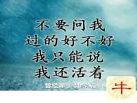 安徽省杰之盛信息科技有限公司