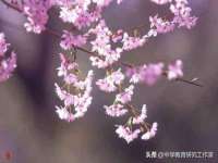 安徽省杰之盛信息科技有限公司