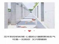 安徽省杰之盛信息科技有限公司