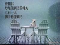 安徽省杰之盛信息科技有限公司