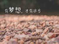 安徽省杰之盛信息科技有限公司