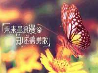 安徽省杰之盛信息科技有限公司