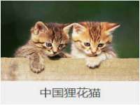 安徽省杰之盛信息科技有限公司