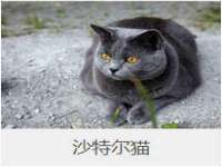 安徽省杰之盛信息科技有限公司