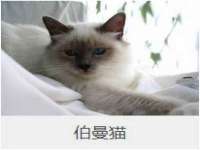 安徽省杰之盛信息科技有限公司