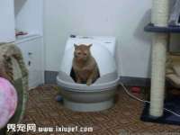 安徽省杰之盛信息科技有限公司
