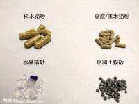 安徽省杰之盛信息科技有限公司