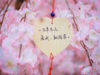 安徽省杰之盛信息科技有限公司