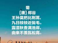 安徽省杰之盛信息科技有限公司