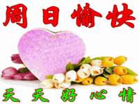 安徽省杰之盛信息科技有限公司