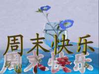 安徽省杰之盛信息科技有限公司