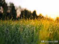 安徽省杰之盛信息科技有限公司
