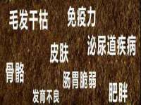 安徽省杰之盛信息科技有限公司