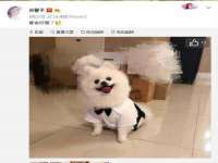 安徽省杰之盛信息科技有限公司