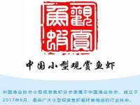 安徽省杰之盛信息科技有限公司