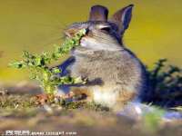 安徽省杰之盛信息科技有限公司