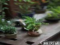 安徽省杰之盛信息科技有限公司