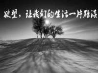 安徽省杰之盛信息科技有限公司
