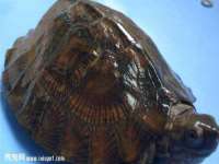 安徽省杰之盛信息科技有限公司