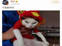 安徽省杰之盛信息科技有限公司